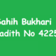 Sahih Bukhari Hadith 4225