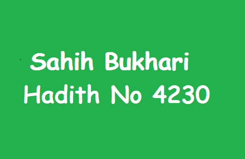 Sahih Bukhari Hadith 4230