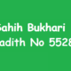 Sahih Bukhari Hadith No 5528