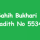 Sahih Bukhari Hadith No 5534
