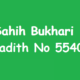 Sahih Bukhari Hadith No 5540