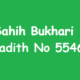 Sahih Bukhari Hadith No 5546