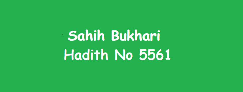 Sahih Bukhari Hadith No 5561