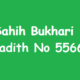 Sahih Bukhari Hadith No 5566