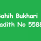 Sahih Bukhari Hadith 5587