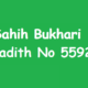 Sahih Bukhari Hadith No 5592