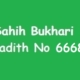 Sahih Bukhari Hadith 6668