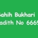 Sahih Bukhari Hadith 6669