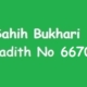 Sahih Bukhari Hadith 6670