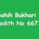 Sahih Bukhari Hadith 6671