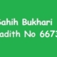 Sahih Bukhari Hadith 6673