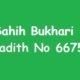 Sahih Bukhari Hadith 6675