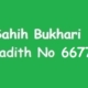 Sahih Bukhari Hadith 6677