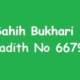 Sahih Bukhari Hadith 6679