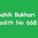 Sahih Bukhari Hadith 6681