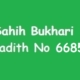 Sahih Bukhari Hadith 6685