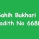 Sahih Bukhari Hadith 6688