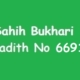 Sahih Bukhari Hadith 6691