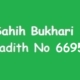 Sahih Bukhari Hadith 6695