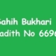 Sahih Bukhari Hadith 6696
