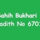 Sahih Bukhari Hadith 6701