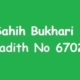 Sahih Bukhari Hadith 6702
