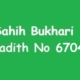 Sahih Bukhari Hadith 6704
