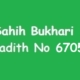 Sahih Bukhari Hadith 6705