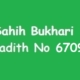Sahih Bukhari Hadith 6709