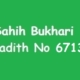 Sahih Bukhari Hadith 6713