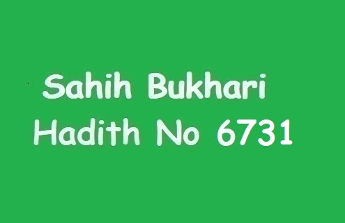 Sahih Bukhari Hadith 6731