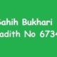 Sahih Bukhari Hadith 6734