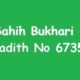 Sahih Bukhari Hadith 6735