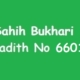 Sahih Bukhari Hadith 6601