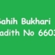 Sahih Bukhari Hadith 6603