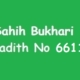 Sahih Bukhari Hadith 6611