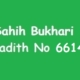 Sahih Bukhari Hadith 6614