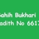 Sahih Bukhari Hadith 6617