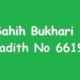 Sahih Bukhari Hadith 6619