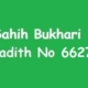 Sahih Bukhari Hadith 6627