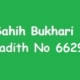 Sahih Bukhari Hadith 6629
