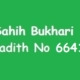 Sahih Bukhari Hadith 6641