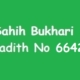 Sahih Bukhari Hadith 6642
