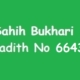 Sahih Bukhari Hadith 6643