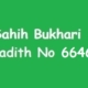 Sahih Bukhari Hadith 6646