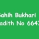 Sahih Bukhari Hadith No 6647
