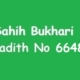 Sahih Bukhari Hadith 6648