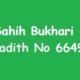 Sahih Bukhari Hadith No 6649 in Urdu