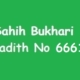 Sahih Bukhari Hadith 6661