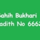 Sahih Bukhari Hadith 6662